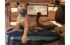 Property photo 5 - ONLINE ONLY PERSONAL PROPERTY AUCTION IN WHITLEY COUNTY, INDIANA