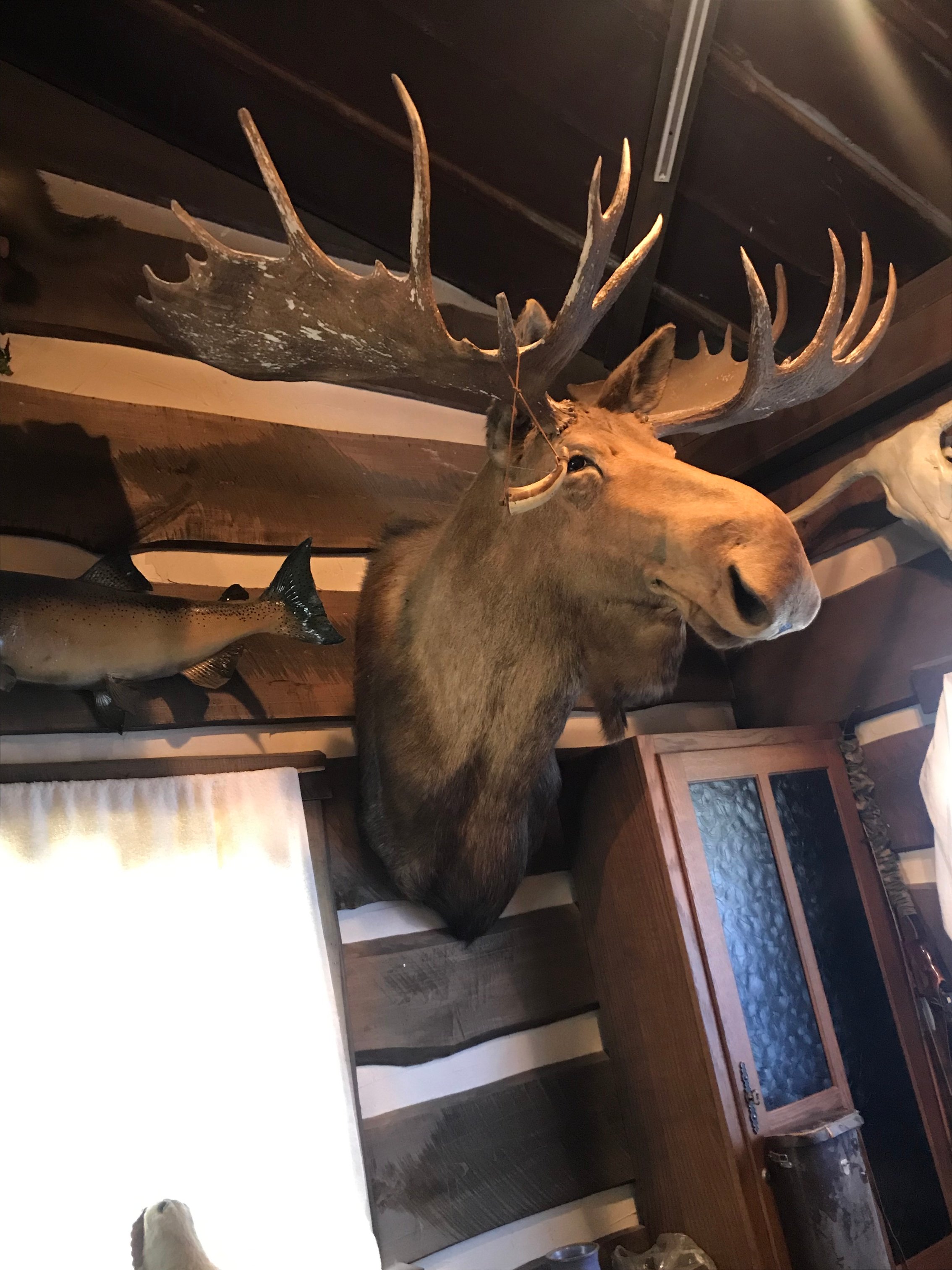Property photo 6 - ONLINE ONLY PERSONAL PROPERTY AUCTION IN WHITLEY COUNTY, INDIANA