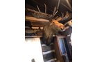 Property photo 6 - ONLINE ONLY PERSONAL PROPERTY AUCTION IN WHITLEY COUNTY, INDIANA