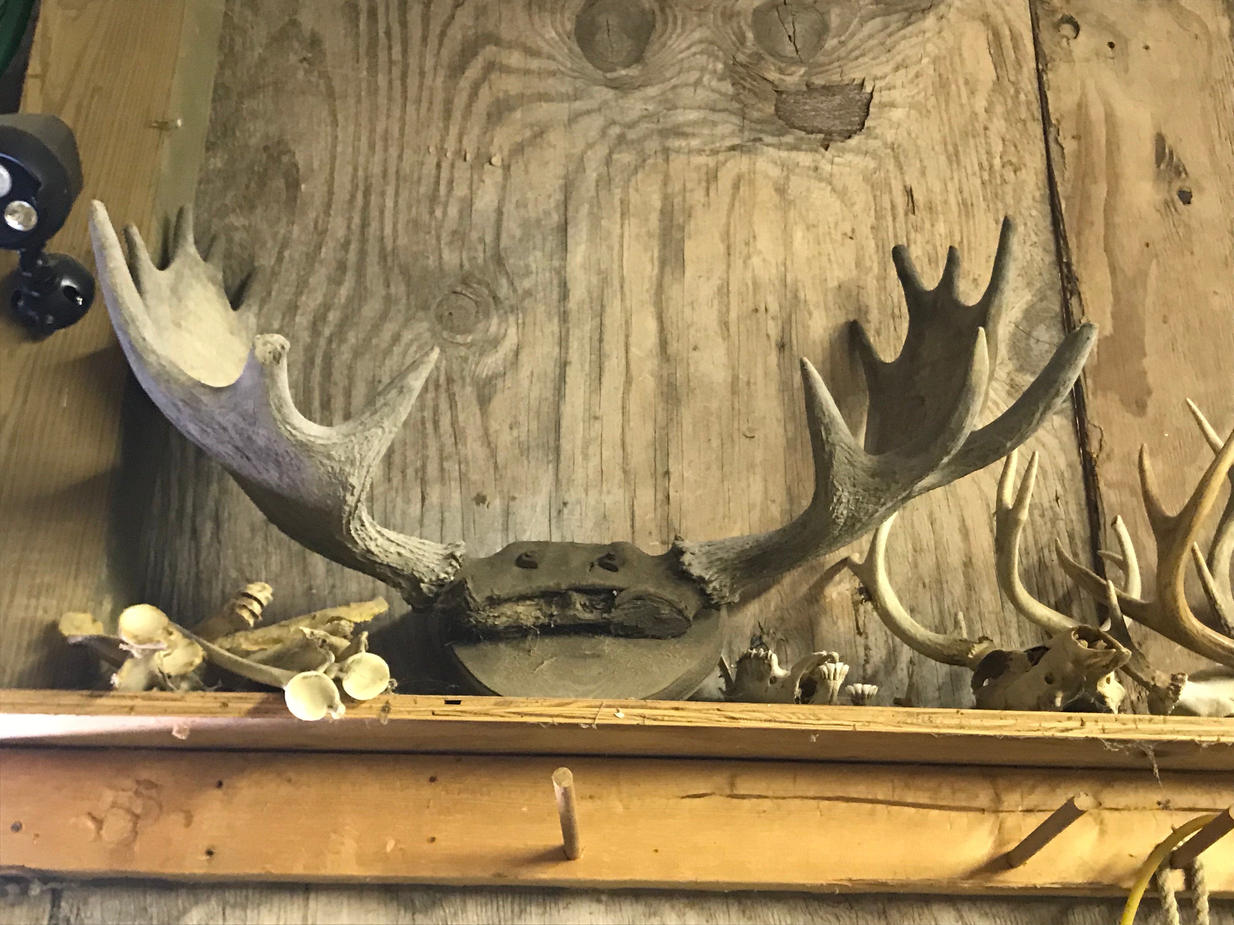 Property photo 20 - ONLINE ONLY PERSONAL PROPERTY AUCTION IN WHITLEY COUNTY, INDIANA