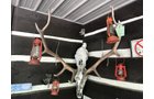 Property photo 22 - ONLINE ONLY PERSONAL PROPERTY AUCTION IN WHITLEY COUNTY, INDIANA