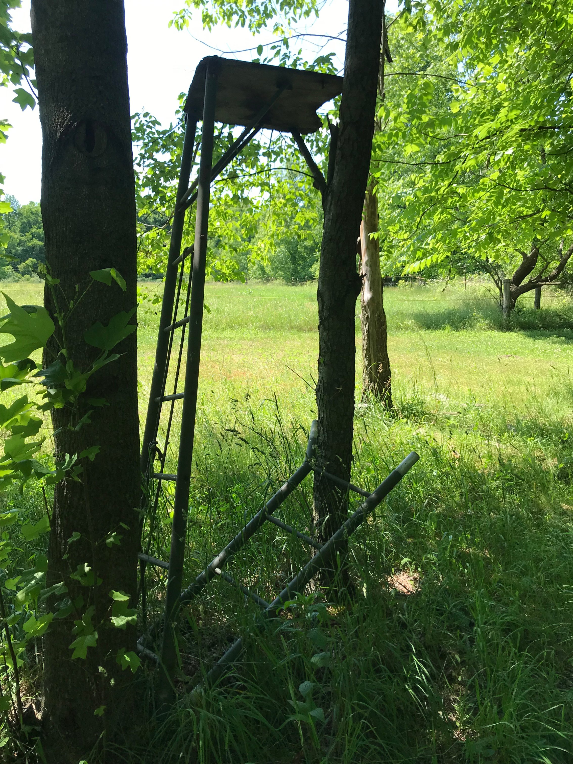 Property photo 58 - ONLINE ONLY PERSONAL PROPERTY AUCTION IN WHITLEY COUNTY, INDIANA