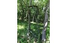 Property photo 59 - ONLINE ONLY PERSONAL PROPERTY AUCTION IN WHITLEY COUNTY, INDIANA