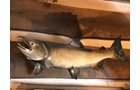 Property photo 23 - ONLINE ONLY PERSONAL PROPERTY AUCTION IN WHITLEY COUNTY, INDIANA