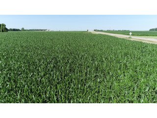 Miami County, Ohio Farmland - LAND AUCTION - 485+/- ACRES OFFERED IN 7 TRACTS IN MIAMI COUNTY, OHIO