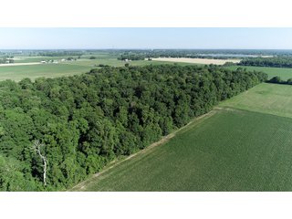 Miami County, Ohio Farmland - LAND AUCTION - 485+/- ACRES OFFERED IN 7 TRACTS IN MIAMI COUNTY, OHIO