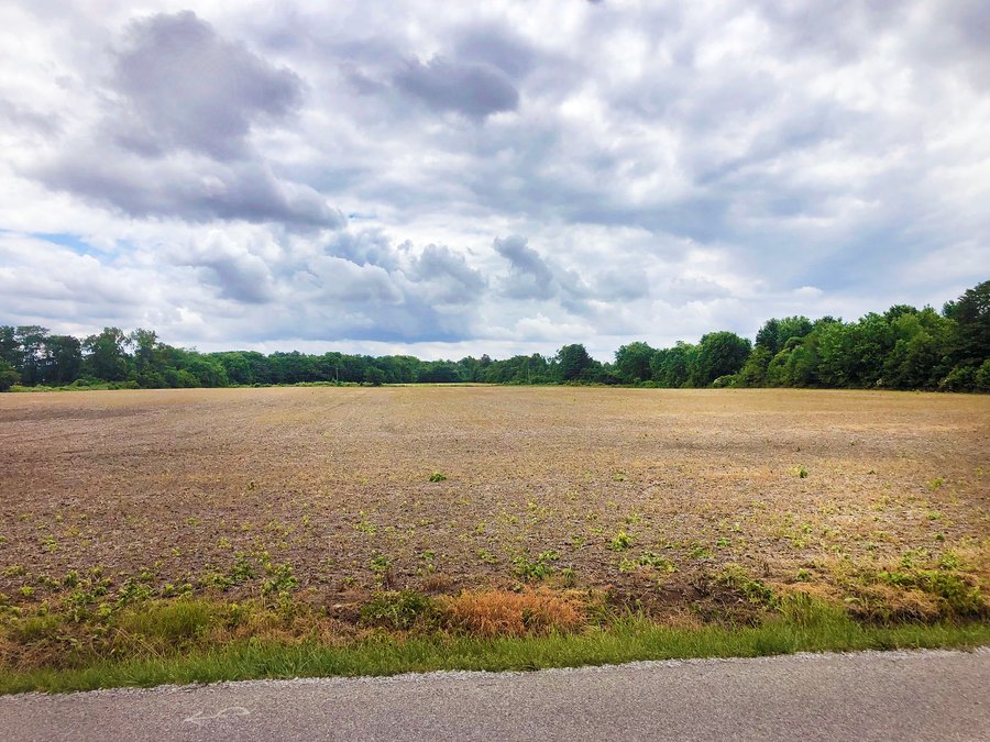 For sale: REAL ESTATE FOR SALE - 47.74 ACRES - QUALITY CROP LAND WITH WOODS - Near Johnstown, Ohio