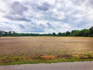 <b><I>Great opportunity for you to combine the benefits of a long-term agricultural investment with the environmental stewardship afforded you through Ohios Agricultural Conservation Easement Program.</I></b>
<li>QUALITY CROP LAND with WOODS
<li>Agricultural Easement Protected with approved Home site
<li>Located 3 miles Southwest of Johnstown, OH
<li>Property is protected under the Ohio Agricultural Easement Program
<li>Perpetual Agricultural Easement allows for (1) future home site
<li>Buyer must assume continued Agricultural Use easement (contact agent for details)
<li>Features 6.12+/- Acres of Woods 
<li>Good road frontage along Duncan Plains Rd. NW and Edwards Road
<li>Only 1/2 mile to the Delaware County line
<li>Level fields for ease of operation
<li>Pattern Tiled with 4 inch laterals on 50 foot centers
<li>Farmed as (2) fields.  Field A: 23.48 FSA Tillable Acres.  Field B: 15.91 FSA Tillable Acres
<li>Predominantly Pewamo soils - REAL ESTATE FOR SALE - 47.74 ACRES - QUALITY CROP LAND WITH WOODS