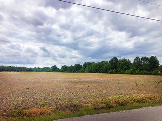 <b><I>Great opportunity for you to combine the benefits of a long-term agricultural investment with the environmental stewardship afforded you through Ohios Agricultural Conservation Easement Program.</I></b>
<li>QUALITY CROP LAND with WOODS
<li>Agricultural Easement Protected with approved Home site
<li>Located 3 miles Southwest of Johnstown, OH
<li>Property is protected under the Ohio Agricultural Easement Program
<li>Perpetual Agricultural Easement allows for (1) future home site
<li>Buyer must assume continued Agricultural Use easement (contact agent for details)
<li>Features 6.12+/- Acres of Woods 
<li>Good road frontage along Duncan Plains Rd. NW and Edwards Road
<li>Only 1/2 mile to the Delaware County line
<li>Level fields for ease of operation
<li>Pattern Tiled with 4 inch laterals on 50 foot centers
<li>Farmed as (2) fields.  Field A: 23.48 FSA Tillable Acres.  Field B: 15.91 FSA Tillable Acres
<li>Predominantly Pewamo soils - REAL ESTATE FOR SALE - 47.74 ACRES - QUALITY CROP LAND WITH WOODS