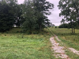 <b><li>Impressive Mixed use Farm 
<li>HUNTERS PARADISE
<li>Property in excellent condition. A must see!
<li>Secluded setting with impressive views
<li>Productive Tillable land with improved waterways
<li>Superb Hunting Land overlooking the Whitewater River Valley
<li>Perimeter fence around 95% of the Property, Quality Pasture
<li>Campsite with 2008 Travel Trailer with permanent roof structure covering it
<li>Established gravel lane to the middle of the property
<li>Farmed as (2) fields.  Field A:  61.78 FSA Tillable Acres.  Field B: 35.73 FSA Tillable Acres
<li>Great Recreational Property with continued Crop Income</b> - REAL ESTATE FOR SALE - 150+/- ACRES - IMPRESSIVE MIXED USED FARM - HUNTERS PARADISE