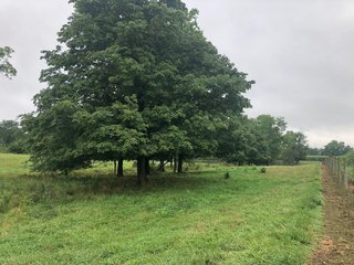 <b><li>Impressive Mixed use Farm 
<li>HUNTERS PARADISE
<li>Property in excellent condition. A must see!
<li>Secluded setting with impressive views
<li>Productive Tillable land with improved waterways
<li>Superb Hunting Land overlooking the Whitewater River Valley
<li>Perimeter fence around 95% of the Property, Quality Pasture
<li>Campsite with 2008 Travel Trailer with permanent roof structure covering it
<li>Established gravel lane to the middle of the property
<li>Farmed as (2) fields.  Field A:  61.78 FSA Tillable Acres.  Field B: 35.73 FSA Tillable Acres
<li>Great Recreational Property with continued Crop Income</b> - REAL ESTATE FOR SALE - 150+/- ACRES - IMPRESSIVE MIXED USED FARM - HUNTERS PARADISE