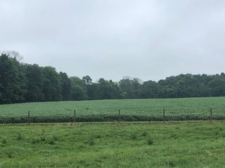 <b><li>Impressive Mixed use Farm 
<li>HUNTERS PARADISE
<li>Property in excellent condition. A must see!
<li>Secluded setting with impressive views
<li>Productive Tillable land with improved waterways
<li>Superb Hunting Land overlooking the Whitewater River Valley
<li>Perimeter fence around 95% of the Property, Quality Pasture
<li>Campsite with 2008 Travel Trailer with permanent roof structure covering it
<li>Established gravel lane to the middle of the property
<li>Farmed as (2) fields.  Field A:  61.78 FSA Tillable Acres.  Field B: 35.73 FSA Tillable Acres
<li>Great Recreational Property with continued Crop Income</b> - REAL ESTATE FOR SALE - 150+/- ACRES - IMPRESSIVE MIXED USED FARM - HUNTERS PARADISE