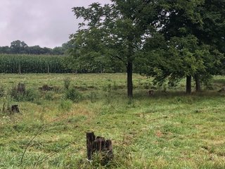 <b><li>Impressive Mixed use Farm 
<li>HUNTERS PARADISE
<li>Property in excellent condition. A must see!
<li>Secluded setting with impressive views
<li>Productive Tillable land with improved waterways
<li>Superb Hunting Land overlooking the Whitewater River Valley
<li>Perimeter fence around 95% of the Property, Quality Pasture
<li>Campsite with 2008 Travel Trailer with permanent roof structure covering it
<li>Established gravel lane to the middle of the property
<li>Farmed as (2) fields.  Field A:  61.78 FSA Tillable Acres.  Field B: 35.73 FSA Tillable Acres
<li>Great Recreational Property with continued Crop Income</b> - REAL ESTATE FOR SALE - 150+/- ACRES - IMPRESSIVE MIXED USED FARM - HUNTERS PARADISE