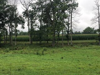 <b><li>Impressive Mixed use Farm 
<li>HUNTERS PARADISE
<li>Property in excellent condition. A must see!
<li>Secluded setting with impressive views
<li>Productive Tillable land with improved waterways
<li>Superb Hunting Land overlooking the Whitewater River Valley
<li>Perimeter fence around 95% of the Property, Quality Pasture
<li>Campsite with 2008 Travel Trailer with permanent roof structure covering it
<li>Established gravel lane to the middle of the property
<li>Farmed as (2) fields.  Field A:  61.78 FSA Tillable Acres.  Field B: 35.73 FSA Tillable Acres
<li>Great Recreational Property with continued Crop Income</b> - REAL ESTATE FOR SALE - 150+/- ACRES - IMPRESSIVE MIXED USED FARM - HUNTERS PARADISE