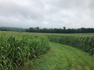 <b><li>Impressive Mixed use Farm 
<li>HUNTERS PARADISE
<li>Property in excellent condition. A must see!
<li>Secluded setting with impressive views
<li>Productive Tillable land with improved waterways
<li>Superb Hunting Land overlooking the Whitewater River Valley
<li>Perimeter fence around 95% of the Property, Quality Pasture
<li>Campsite with 2008 Travel Trailer with permanent roof structure covering it
<li>Established gravel lane to the middle of the property
<li>Farmed as (2) fields.  Field A:  61.78 FSA Tillable Acres.  Field B: 35.73 FSA Tillable Acres
<li>Great Recreational Property with continued Crop Income</b> - REAL ESTATE FOR SALE - 150+/- ACRES - IMPRESSIVE MIXED USED FARM - HUNTERS PARADISE