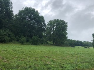 <b><li>Impressive Mixed use Farm 
<li>HUNTERS PARADISE
<li>Property in excellent condition. A must see!
<li>Secluded setting with impressive views
<li>Productive Tillable land with improved waterways
<li>Superb Hunting Land overlooking the Whitewater River Valley
<li>Perimeter fence around 95% of the Property, Quality Pasture
<li>Campsite with 2008 Travel Trailer with permanent roof structure covering it
<li>Established gravel lane to the middle of the property
<li>Farmed as (2) fields.  Field A:  61.78 FSA Tillable Acres.  Field B: 35.73 FSA Tillable Acres
<li>Great Recreational Property with continued Crop Income</b> - REAL ESTATE FOR SALE - 150+/- ACRES - IMPRESSIVE MIXED USED FARM - HUNTERS PARADISE