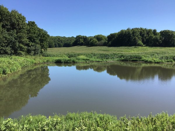 For sale: LAND FOR SALE - GRANT COUNTY, WI - 99 ACRES - EXCELLENT ALL-AROUND PROPERTY FOR HUNTING AND FARMING - OFFER PENDING - Lancaster, WI - Praire Du Chien, WI - Dubuque, IA