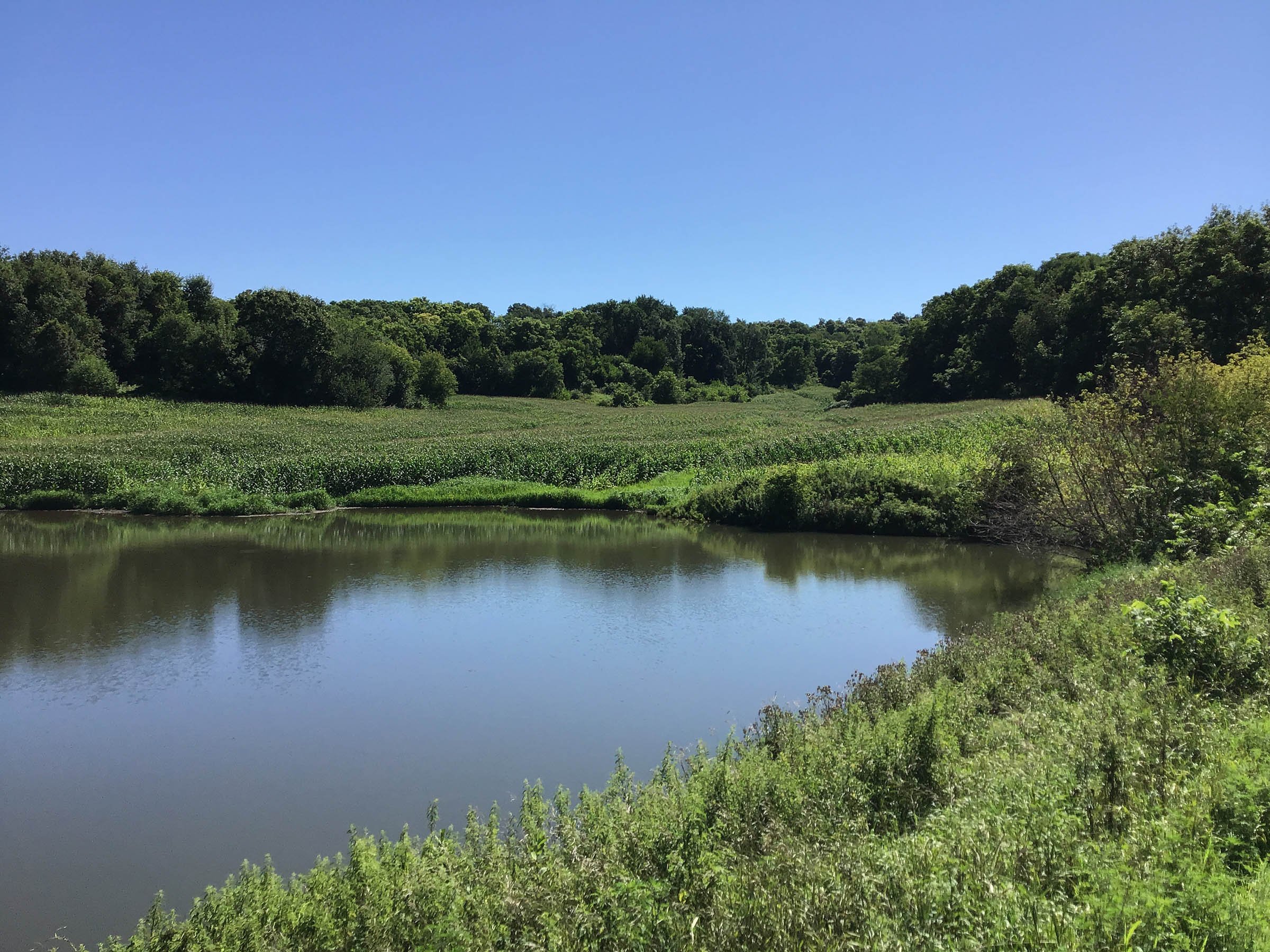 <b>OFFER PENDING</b>

<b>Dont miss your chance on this excellent all-around property for recreational, building, and farming purposes. Features a Secluded location for a future home overlooking spring feed pond.</b>

<li>Type of Farm: Crops, hunting, building site
<li>County: Grant County, WI
<li>Twp: North Lancaster, section 5
<li>Total Acreage: 99+/- Acres
<li>Tillable Acreage: 49+/- Acres
<li>Wooded Acreage: 40+/- Acres
<li>Type of Farm: Crops, hunting, building site
<li>Taxes Payable 2019/20: $900
<li>Possession Date: 12/01/2020
<li>Zoning: Agriculture
<li>High School: Lancaster, WI
<li>Elec. Source: Available
<li>Fencing: Partial

<iframe src="https://player.vimeo.com/video/451492214" width="640" height="360" frameborder="0" allow="autoplay; fullscreen" allowfullscreen></iframe> - LAND FOR SALE - GRANT COUNTY, WI - 99 ACRES - EXCELLENT ALL-AROUND PROPERTY FOR HUNTING AND FARMING - OFFER PENDING