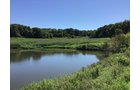<b>OFFER PENDING</b>
<b>Dont miss your chance on this excellent all-around property for recreational, building, and farming purposes. Features a Secluded location for a future home overlooking spring feed pond.</b>
<li>Type of Farm: Crops, hunting, building site
<li>County: Grant County, WI
<li>Twp: North Lancaster, section 5
<li>Total Acreage: 99+/- Acres
<li>Tillable Acreage: 49+/- Acres
<li>Wooded Acreage: 40+/- Acres
<li>Type of Farm: Crops, hunting, building site
<li>Taxes Payable 2019/20: $900
<li>Possession Date: 12/01/2020
<li>Zoning: Agriculture
<li>High School: Lancaster, WI
<li>Elec. Source: Available
<li>Fencing: Partial
<iframe src="https://player.vimeo.com/video/451492214" width="640" height="360" frameborder="0" allow="autoplay; fullscreen" allowfullscreen></iframe> - LAND FOR SALE - GRANT COUNTY, WI - 99 ACRES - EXCELLENT ALL-AROUND PROPERTY FOR HUNTING AND FARMING - OFFER PENDING