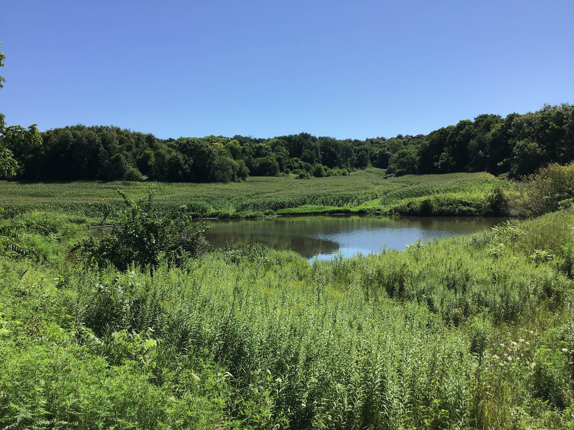 <b>OFFER PENDING</b>

<b>Dont miss your chance on this excellent all-around property for recreational, building, and farming purposes. Features a Secluded location for a future home overlooking spring feed pond.</b>

<li>Type of Farm: Crops, hunting, building site
<li>County: Grant County, WI
<li>Twp: North Lancaster, section 5
<li>Total Acreage: 99+/- Acres
<li>Tillable Acreage: 49+/- Acres
<li>Wooded Acreage: 40+/- Acres
<li>Type of Farm: Crops, hunting, building site
<li>Taxes Payable 2019/20: $900
<li>Possession Date: 12/01/2020
<li>Zoning: Agriculture
<li>High School: Lancaster, WI
<li>Elec. Source: Available
<li>Fencing: Partial

<iframe src="https://player.vimeo.com/video/451492214" width="640" height="360" frameborder="0" allow="autoplay; fullscreen" allowfullscreen></iframe> - LAND FOR SALE - GRANT COUNTY, WI - 99 ACRES - EXCELLENT ALL-AROUND PROPERTY FOR HUNTING AND FARMING - OFFER PENDING