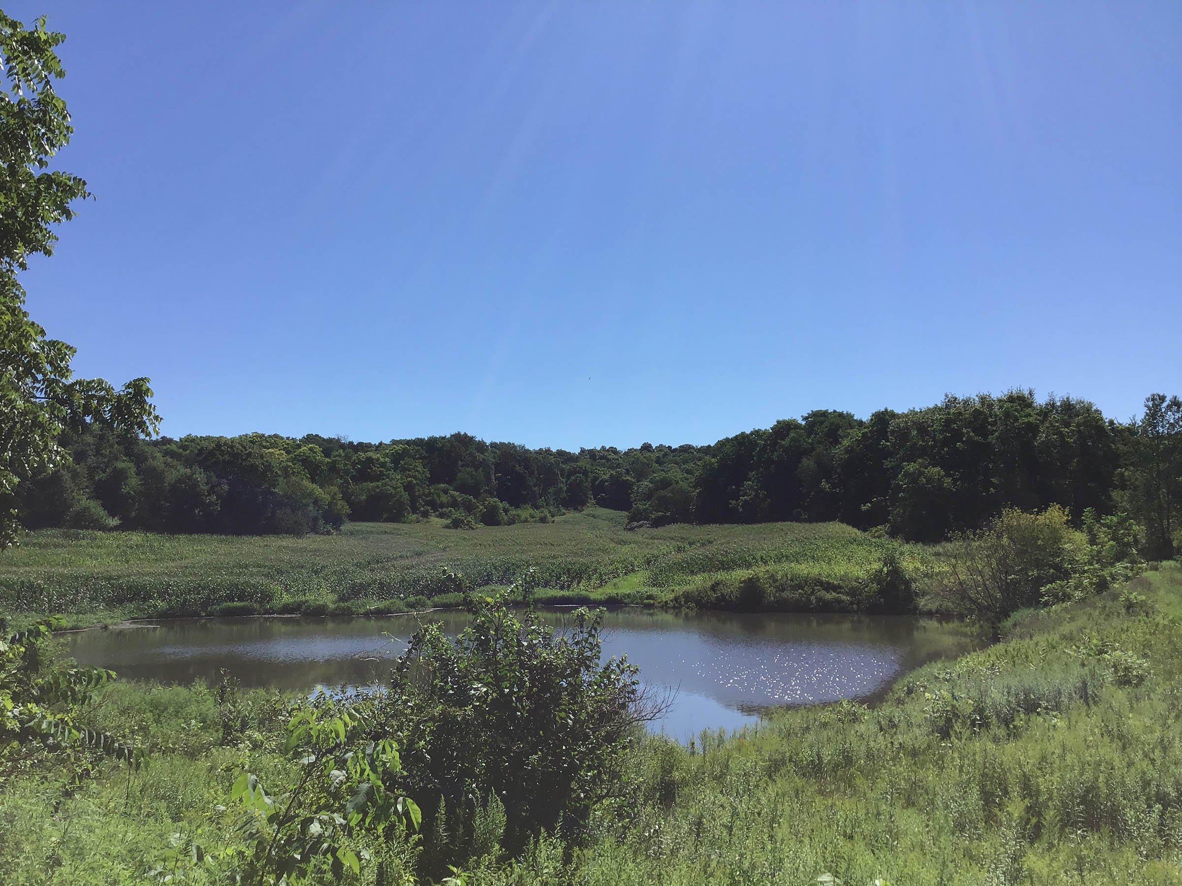 <b>OFFER PENDING</b>

<b>Dont miss your chance on this excellent all-around property for recreational, building, and farming purposes. Features a Secluded location for a future home overlooking spring feed pond.</b>

<li>Type of Farm: Crops, hunting, building site
<li>County: Grant County, WI
<li>Twp: North Lancaster, section 5
<li>Total Acreage: 99+/- Acres
<li>Tillable Acreage: 49+/- Acres
<li>Wooded Acreage: 40+/- Acres
<li>Type of Farm: Crops, hunting, building site
<li>Taxes Payable 2019/20: $900
<li>Possession Date: 12/01/2020
<li>Zoning: Agriculture
<li>High School: Lancaster, WI
<li>Elec. Source: Available
<li>Fencing: Partial

<iframe src="https://player.vimeo.com/video/451492214" width="640" height="360" frameborder="0" allow="autoplay; fullscreen" allowfullscreen></iframe> - LAND FOR SALE - GRANT COUNTY, WI - 99 ACRES - EXCELLENT ALL-AROUND PROPERTY FOR HUNTING AND FARMING - OFFER PENDING