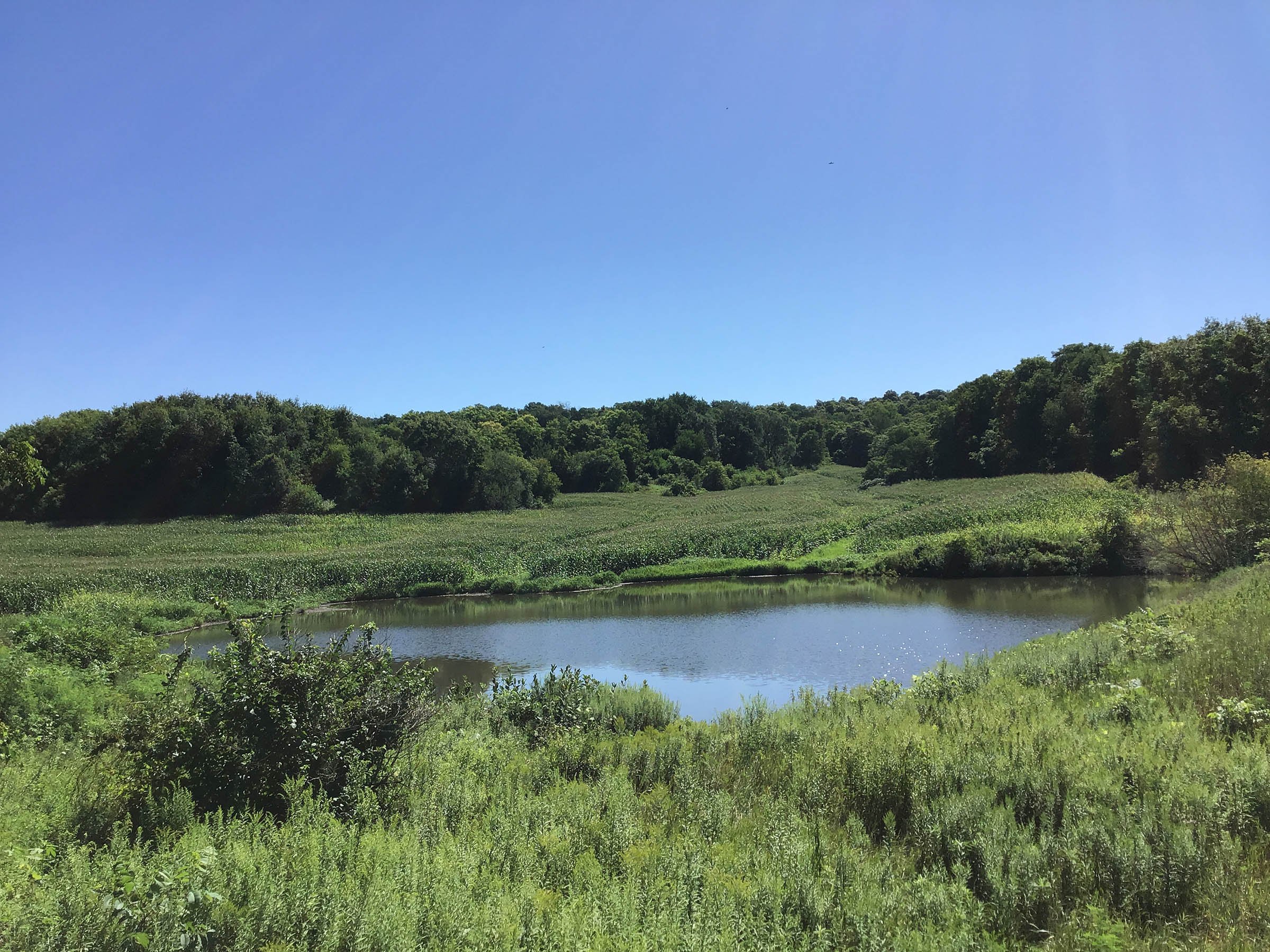 <b>OFFER PENDING</b>

<b>Dont miss your chance on this excellent all-around property for recreational, building, and farming purposes. Features a Secluded location for a future home overlooking spring feed pond.</b>

<li>Type of Farm: Crops, hunting, building site
<li>County: Grant County, WI
<li>Twp: North Lancaster, section 5
<li>Total Acreage: 99+/- Acres
<li>Tillable Acreage: 49+/- Acres
<li>Wooded Acreage: 40+/- Acres
<li>Type of Farm: Crops, hunting, building site
<li>Taxes Payable 2019/20: $900
<li>Possession Date: 12/01/2020
<li>Zoning: Agriculture
<li>High School: Lancaster, WI
<li>Elec. Source: Available
<li>Fencing: Partial

<iframe src="https://player.vimeo.com/video/451492214" width="640" height="360" frameborder="0" allow="autoplay; fullscreen" allowfullscreen></iframe> - LAND FOR SALE - GRANT COUNTY, WI - 99 ACRES - EXCELLENT ALL-AROUND PROPERTY FOR HUNTING AND FARMING - OFFER PENDING