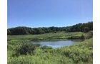 <b>OFFER PENDING</b>
<b>Dont miss your chance on this excellent all-around property for recreational, building, and farming purposes. Features a Secluded location for a future home overlooking spring feed pond.</b>
<li>Type of Farm: Crops, hunting, building site
<li>County: Grant County, WI
<li>Twp: North Lancaster, section 5
<li>Total Acreage: 99+/- Acres
<li>Tillable Acreage: 49+/- Acres
<li>Wooded Acreage: 40+/- Acres
<li>Type of Farm: Crops, hunting, building site
<li>Taxes Payable 2019/20: $900
<li>Possession Date: 12/01/2020
<li>Zoning: Agriculture
<li>High School: Lancaster, WI
<li>Elec. Source: Available
<li>Fencing: Partial
<iframe src="https://player.vimeo.com/video/451492214" width="640" height="360" frameborder="0" allow="autoplay; fullscreen" allowfullscreen></iframe> - LAND FOR SALE - GRANT COUNTY, WI - 99 ACRES - EXCELLENT ALL-AROUND PROPERTY FOR HUNTING AND FARMING - OFFER PENDING