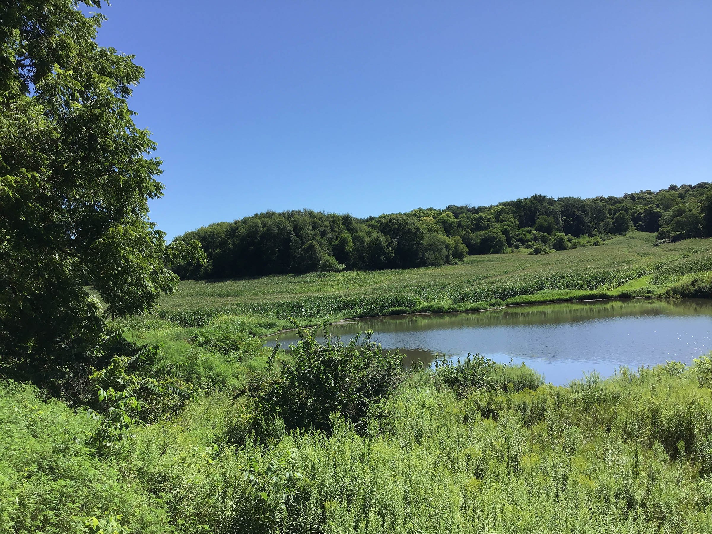 <b>OFFER PENDING</b>

<b>Dont miss your chance on this excellent all-around property for recreational, building, and farming purposes. Features a Secluded location for a future home overlooking spring feed pond.</b>

<li>Type of Farm: Crops, hunting, building site
<li>County: Grant County, WI
<li>Twp: North Lancaster, section 5
<li>Total Acreage: 99+/- Acres
<li>Tillable Acreage: 49+/- Acres
<li>Wooded Acreage: 40+/- Acres
<li>Type of Farm: Crops, hunting, building site
<li>Taxes Payable 2019/20: $900
<li>Possession Date: 12/01/2020
<li>Zoning: Agriculture
<li>High School: Lancaster, WI
<li>Elec. Source: Available
<li>Fencing: Partial

<iframe src="https://player.vimeo.com/video/451492214" width="640" height="360" frameborder="0" allow="autoplay; fullscreen" allowfullscreen></iframe> - LAND FOR SALE - GRANT COUNTY, WI - 99 ACRES - EXCELLENT ALL-AROUND PROPERTY FOR HUNTING AND FARMING - OFFER PENDING
