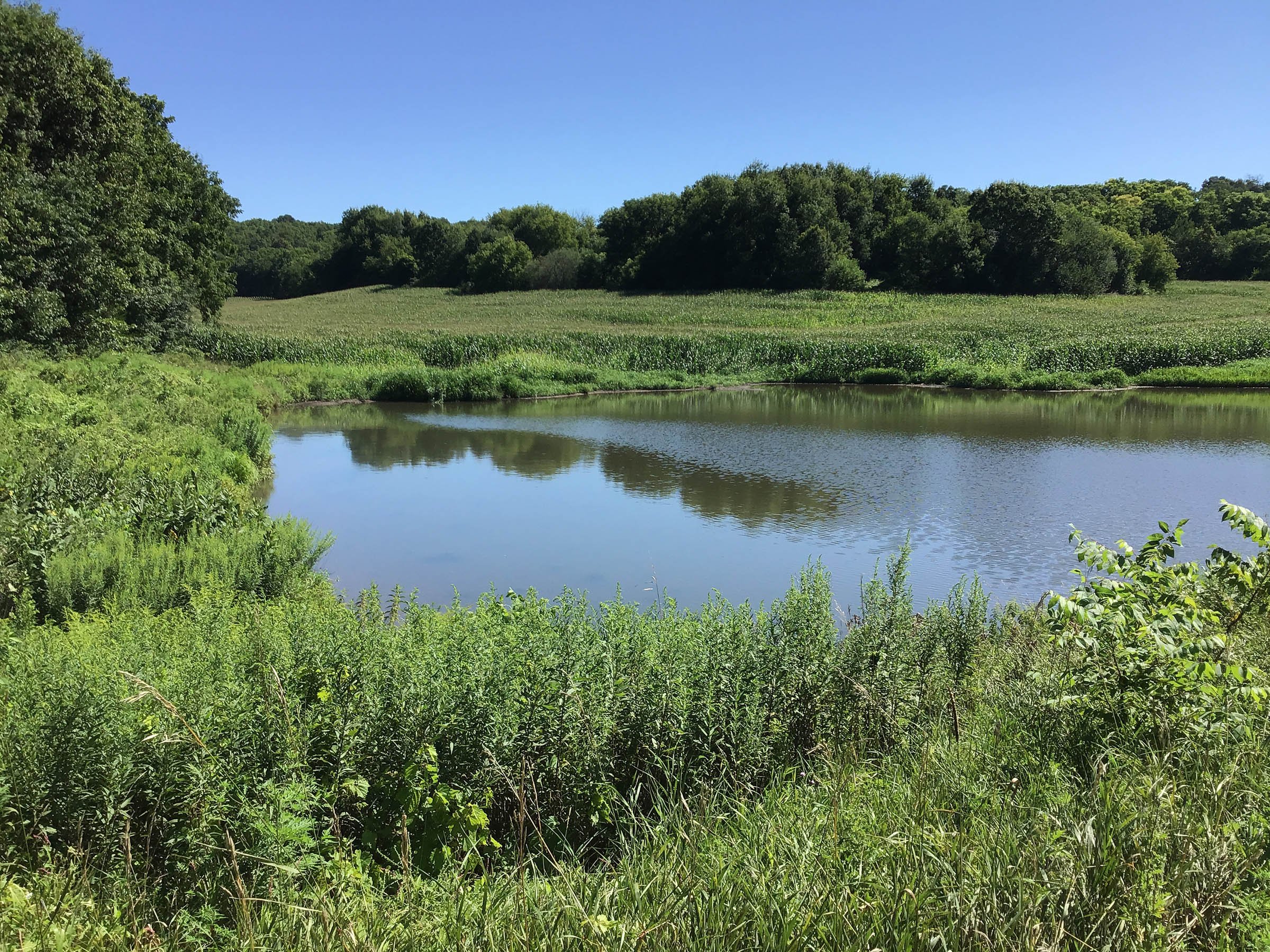 <b>OFFER PENDING</b>

<b>Dont miss your chance on this excellent all-around property for recreational, building, and farming purposes. Features a Secluded location for a future home overlooking spring feed pond.</b>

<li>Type of Farm: Crops, hunting, building site
<li>County: Grant County, WI
<li>Twp: North Lancaster, section 5
<li>Total Acreage: 99+/- Acres
<li>Tillable Acreage: 49+/- Acres
<li>Wooded Acreage: 40+/- Acres
<li>Type of Farm: Crops, hunting, building site
<li>Taxes Payable 2019/20: $900
<li>Possession Date: 12/01/2020
<li>Zoning: Agriculture
<li>High School: Lancaster, WI
<li>Elec. Source: Available
<li>Fencing: Partial

<iframe src="https://player.vimeo.com/video/451492214" width="640" height="360" frameborder="0" allow="autoplay; fullscreen" allowfullscreen></iframe> - LAND FOR SALE - GRANT COUNTY, WI - 99 ACRES - EXCELLENT ALL-AROUND PROPERTY FOR HUNTING AND FARMING - OFFER PENDING