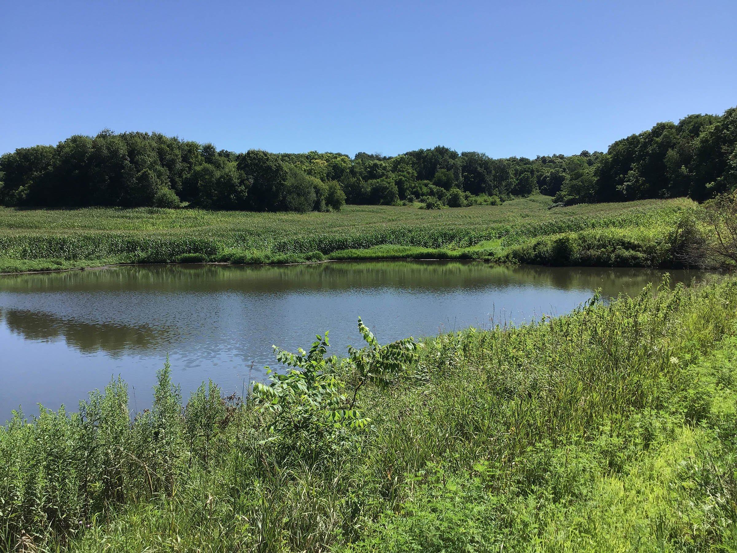 <b>OFFER PENDING</b>

<b>Dont miss your chance on this excellent all-around property for recreational, building, and farming purposes. Features a Secluded location for a future home overlooking spring feed pond.</b>

<li>Type of Farm: Crops, hunting, building site
<li>County: Grant County, WI
<li>Twp: North Lancaster, section 5
<li>Total Acreage: 99+/- Acres
<li>Tillable Acreage: 49+/- Acres
<li>Wooded Acreage: 40+/- Acres
<li>Type of Farm: Crops, hunting, building site
<li>Taxes Payable 2019/20: $900
<li>Possession Date: 12/01/2020
<li>Zoning: Agriculture
<li>High School: Lancaster, WI
<li>Elec. Source: Available
<li>Fencing: Partial

<iframe src="https://player.vimeo.com/video/451492214" width="640" height="360" frameborder="0" allow="autoplay; fullscreen" allowfullscreen></iframe> - LAND FOR SALE - GRANT COUNTY, WI - 99 ACRES - EXCELLENT ALL-AROUND PROPERTY FOR HUNTING AND FARMING - OFFER PENDING