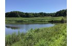<b>OFFER PENDING</b>
<b>Dont miss your chance on this excellent all-around property for recreational, building, and farming purposes. Features a Secluded location for a future home overlooking spring feed pond.</b>
<li>Type of Farm: Crops, hunting, building site
<li>County: Grant County, WI
<li>Twp: North Lancaster, section 5
<li>Total Acreage: 99+/- Acres
<li>Tillable Acreage: 49+/- Acres
<li>Wooded Acreage: 40+/- Acres
<li>Type of Farm: Crops, hunting, building site
<li>Taxes Payable 2019/20: $900
<li>Possession Date: 12/01/2020
<li>Zoning: Agriculture
<li>High School: Lancaster, WI
<li>Elec. Source: Available
<li>Fencing: Partial
<iframe src="https://player.vimeo.com/video/451492214" width="640" height="360" frameborder="0" allow="autoplay; fullscreen" allowfullscreen></iframe> - LAND FOR SALE - GRANT COUNTY, WI - 99 ACRES - EXCELLENT ALL-AROUND PROPERTY FOR HUNTING AND FARMING - OFFER PENDING