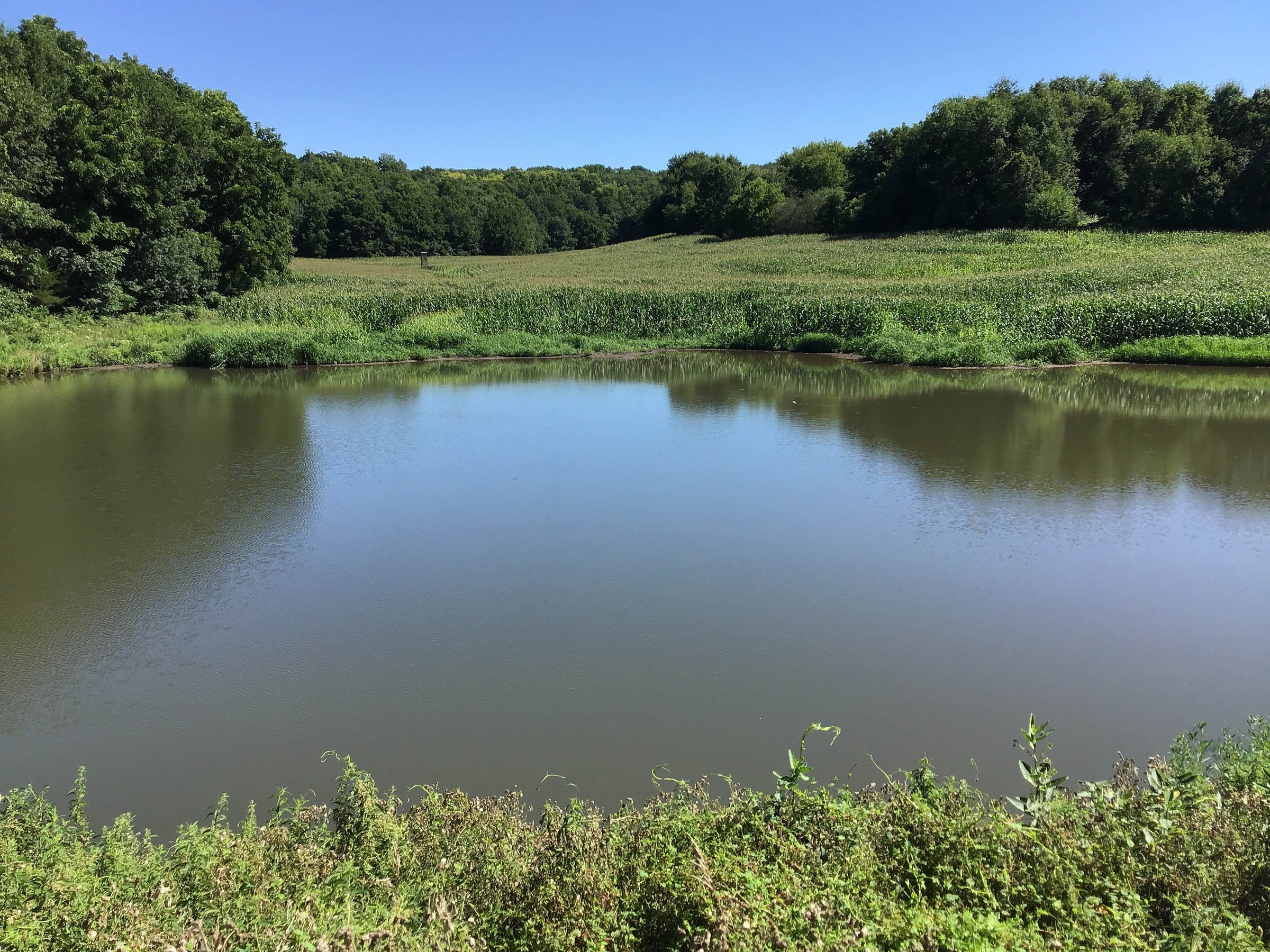 <b>OFFER PENDING</b>

<b>Dont miss your chance on this excellent all-around property for recreational, building, and farming purposes. Features a Secluded location for a future home overlooking spring feed pond.</b>

<li>Type of Farm: Crops, hunting, building site
<li>County: Grant County, WI
<li>Twp: North Lancaster, section 5
<li>Total Acreage: 99+/- Acres
<li>Tillable Acreage: 49+/- Acres
<li>Wooded Acreage: 40+/- Acres
<li>Type of Farm: Crops, hunting, building site
<li>Taxes Payable 2019/20: $900
<li>Possession Date: 12/01/2020
<li>Zoning: Agriculture
<li>High School: Lancaster, WI
<li>Elec. Source: Available
<li>Fencing: Partial

<iframe src="https://player.vimeo.com/video/451492214" width="640" height="360" frameborder="0" allow="autoplay; fullscreen" allowfullscreen></iframe> - LAND FOR SALE - GRANT COUNTY, WI - 99 ACRES - EXCELLENT ALL-AROUND PROPERTY FOR HUNTING AND FARMING - OFFER PENDING