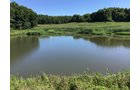 <b>OFFER PENDING</b>
<b>Dont miss your chance on this excellent all-around property for recreational, building, and farming purposes. Features a Secluded location for a future home overlooking spring feed pond.</b>
<li>Type of Farm: Crops, hunting, building site
<li>County: Grant County, WI
<li>Twp: North Lancaster, section 5
<li>Total Acreage: 99+/- Acres
<li>Tillable Acreage: 49+/- Acres
<li>Wooded Acreage: 40+/- Acres
<li>Type of Farm: Crops, hunting, building site
<li>Taxes Payable 2019/20: $900
<li>Possession Date: 12/01/2020
<li>Zoning: Agriculture
<li>High School: Lancaster, WI
<li>Elec. Source: Available
<li>Fencing: Partial
<iframe src="https://player.vimeo.com/video/451492214" width="640" height="360" frameborder="0" allow="autoplay; fullscreen" allowfullscreen></iframe> - LAND FOR SALE - GRANT COUNTY, WI - 99 ACRES - EXCELLENT ALL-AROUND PROPERTY FOR HUNTING AND FARMING - OFFER PENDING