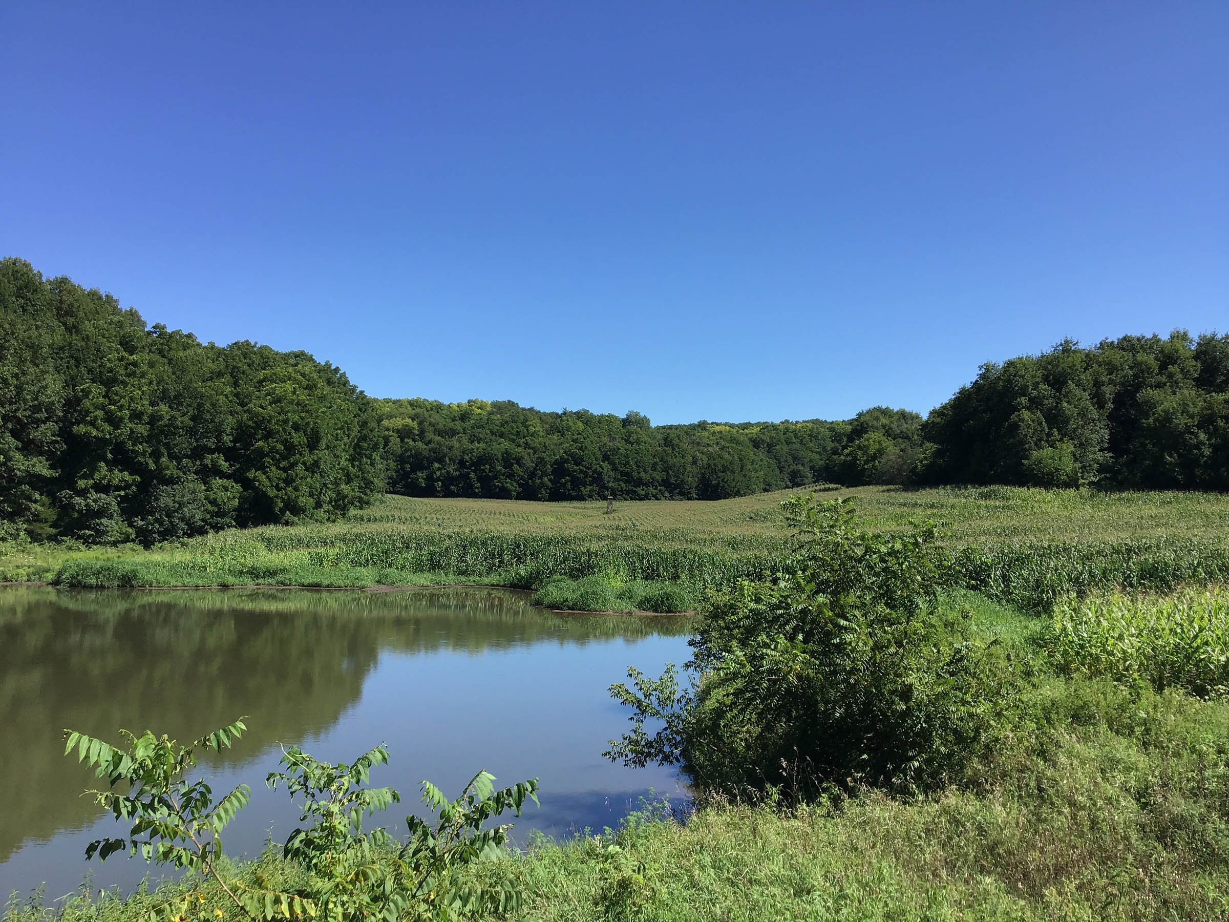 <b>OFFER PENDING</b>

<b>Dont miss your chance on this excellent all-around property for recreational, building, and farming purposes. Features a Secluded location for a future home overlooking spring feed pond.</b>

<li>Type of Farm: Crops, hunting, building site
<li>County: Grant County, WI
<li>Twp: North Lancaster, section 5
<li>Total Acreage: 99+/- Acres
<li>Tillable Acreage: 49+/- Acres
<li>Wooded Acreage: 40+/- Acres
<li>Type of Farm: Crops, hunting, building site
<li>Taxes Payable 2019/20: $900
<li>Possession Date: 12/01/2020
<li>Zoning: Agriculture
<li>High School: Lancaster, WI
<li>Elec. Source: Available
<li>Fencing: Partial

<iframe src="https://player.vimeo.com/video/451492214" width="640" height="360" frameborder="0" allow="autoplay; fullscreen" allowfullscreen></iframe> - LAND FOR SALE - GRANT COUNTY, WI - 99 ACRES - EXCELLENT ALL-AROUND PROPERTY FOR HUNTING AND FARMING - OFFER PENDING