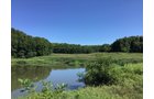 <b>OFFER PENDING</b>
<b>Dont miss your chance on this excellent all-around property for recreational, building, and farming purposes. Features a Secluded location for a future home overlooking spring feed pond.</b>
<li>Type of Farm: Crops, hunting, building site
<li>County: Grant County, WI
<li>Twp: North Lancaster, section 5
<li>Total Acreage: 99+/- Acres
<li>Tillable Acreage: 49+/- Acres
<li>Wooded Acreage: 40+/- Acres
<li>Type of Farm: Crops, hunting, building site
<li>Taxes Payable 2019/20: $900
<li>Possession Date: 12/01/2020
<li>Zoning: Agriculture
<li>High School: Lancaster, WI
<li>Elec. Source: Available
<li>Fencing: Partial
<iframe src="https://player.vimeo.com/video/451492214" width="640" height="360" frameborder="0" allow="autoplay; fullscreen" allowfullscreen></iframe> - LAND FOR SALE - GRANT COUNTY, WI - 99 ACRES - EXCELLENT ALL-AROUND PROPERTY FOR HUNTING AND FARMING - OFFER PENDING