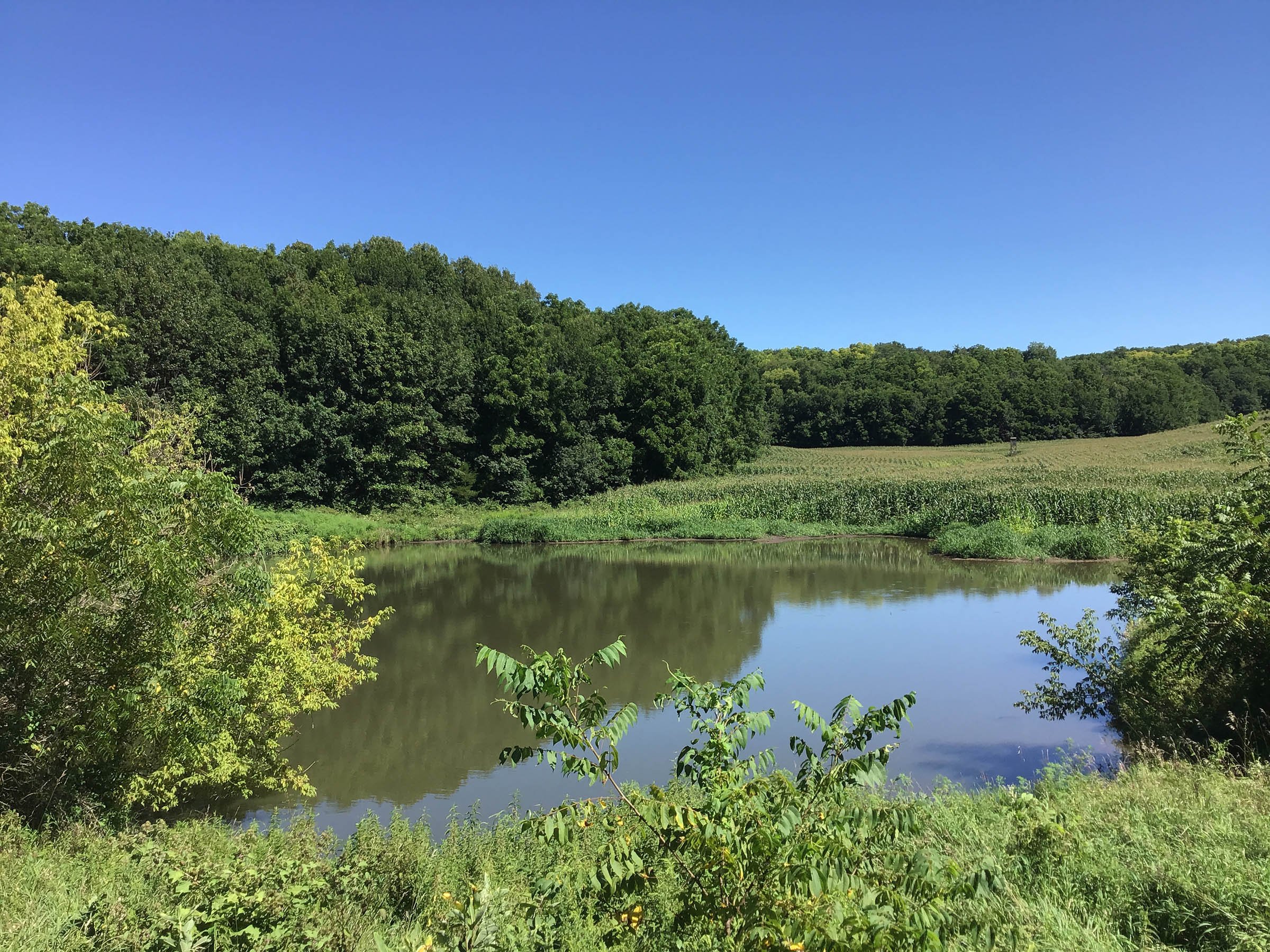 <b>OFFER PENDING</b>

<b>Dont miss your chance on this excellent all-around property for recreational, building, and farming purposes. Features a Secluded location for a future home overlooking spring feed pond.</b>

<li>Type of Farm: Crops, hunting, building site
<li>County: Grant County, WI
<li>Twp: North Lancaster, section 5
<li>Total Acreage: 99+/- Acres
<li>Tillable Acreage: 49+/- Acres
<li>Wooded Acreage: 40+/- Acres
<li>Type of Farm: Crops, hunting, building site
<li>Taxes Payable 2019/20: $900
<li>Possession Date: 12/01/2020
<li>Zoning: Agriculture
<li>High School: Lancaster, WI
<li>Elec. Source: Available
<li>Fencing: Partial

<iframe src="https://player.vimeo.com/video/451492214" width="640" height="360" frameborder="0" allow="autoplay; fullscreen" allowfullscreen></iframe> - LAND FOR SALE - GRANT COUNTY, WI - 99 ACRES - EXCELLENT ALL-AROUND PROPERTY FOR HUNTING AND FARMING - OFFER PENDING