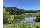 <b>OFFER PENDING</b>
<b>Dont miss your chance on this excellent all-around property for recreational, building, and farming purposes. Features a Secluded location for a future home overlooking spring feed pond.</b>
<li>Type of Farm: Crops, hunting, building site
<li>County: Grant County, WI
<li>Twp: North Lancaster, section 5
<li>Total Acreage: 99+/- Acres
<li>Tillable Acreage: 49+/- Acres
<li>Wooded Acreage: 40+/- Acres
<li>Type of Farm: Crops, hunting, building site
<li>Taxes Payable 2019/20: $900
<li>Possession Date: 12/01/2020
<li>Zoning: Agriculture
<li>High School: Lancaster, WI
<li>Elec. Source: Available
<li>Fencing: Partial
<iframe src="https://player.vimeo.com/video/451492214" width="640" height="360" frameborder="0" allow="autoplay; fullscreen" allowfullscreen></iframe> - LAND FOR SALE - GRANT COUNTY, WI - 99 ACRES - EXCELLENT ALL-AROUND PROPERTY FOR HUNTING AND FARMING - OFFER PENDING