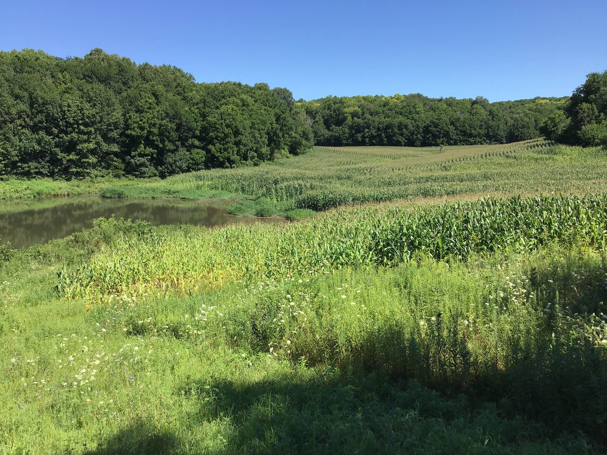 <b>OFFER PENDING</b>

<b>Dont miss your chance on this excellent all-around property for recreational, building, and farming purposes. Features a Secluded location for a future home overlooking spring feed pond.</b>

<li>Type of Farm: Crops, hunting, building site
<li>County: Grant County, WI
<li>Twp: North Lancaster, section 5
<li>Total Acreage: 99+/- Acres
<li>Tillable Acreage: 49+/- Acres
<li>Wooded Acreage: 40+/- Acres
<li>Type of Farm: Crops, hunting, building site
<li>Taxes Payable 2019/20: $900
<li>Possession Date: 12/01/2020
<li>Zoning: Agriculture
<li>High School: Lancaster, WI
<li>Elec. Source: Available
<li>Fencing: Partial

<iframe src="https://player.vimeo.com/video/451492214" width="640" height="360" frameborder="0" allow="autoplay; fullscreen" allowfullscreen></iframe> - LAND FOR SALE - GRANT COUNTY, WI - 99 ACRES - EXCELLENT ALL-AROUND PROPERTY FOR HUNTING AND FARMING - OFFER PENDING