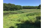 <b>OFFER PENDING</b>
<b>Dont miss your chance on this excellent all-around property for recreational, building, and farming purposes. Features a Secluded location for a future home overlooking spring feed pond.</b>
<li>Type of Farm: Crops, hunting, building site
<li>County: Grant County, WI
<li>Twp: North Lancaster, section 5
<li>Total Acreage: 99+/- Acres
<li>Tillable Acreage: 49+/- Acres
<li>Wooded Acreage: 40+/- Acres
<li>Type of Farm: Crops, hunting, building site
<li>Taxes Payable 2019/20: $900
<li>Possession Date: 12/01/2020
<li>Zoning: Agriculture
<li>High School: Lancaster, WI
<li>Elec. Source: Available
<li>Fencing: Partial
<iframe src="https://player.vimeo.com/video/451492214" width="640" height="360" frameborder="0" allow="autoplay; fullscreen" allowfullscreen></iframe> - LAND FOR SALE - GRANT COUNTY, WI - 99 ACRES - EXCELLENT ALL-AROUND PROPERTY FOR HUNTING AND FARMING - OFFER PENDING
