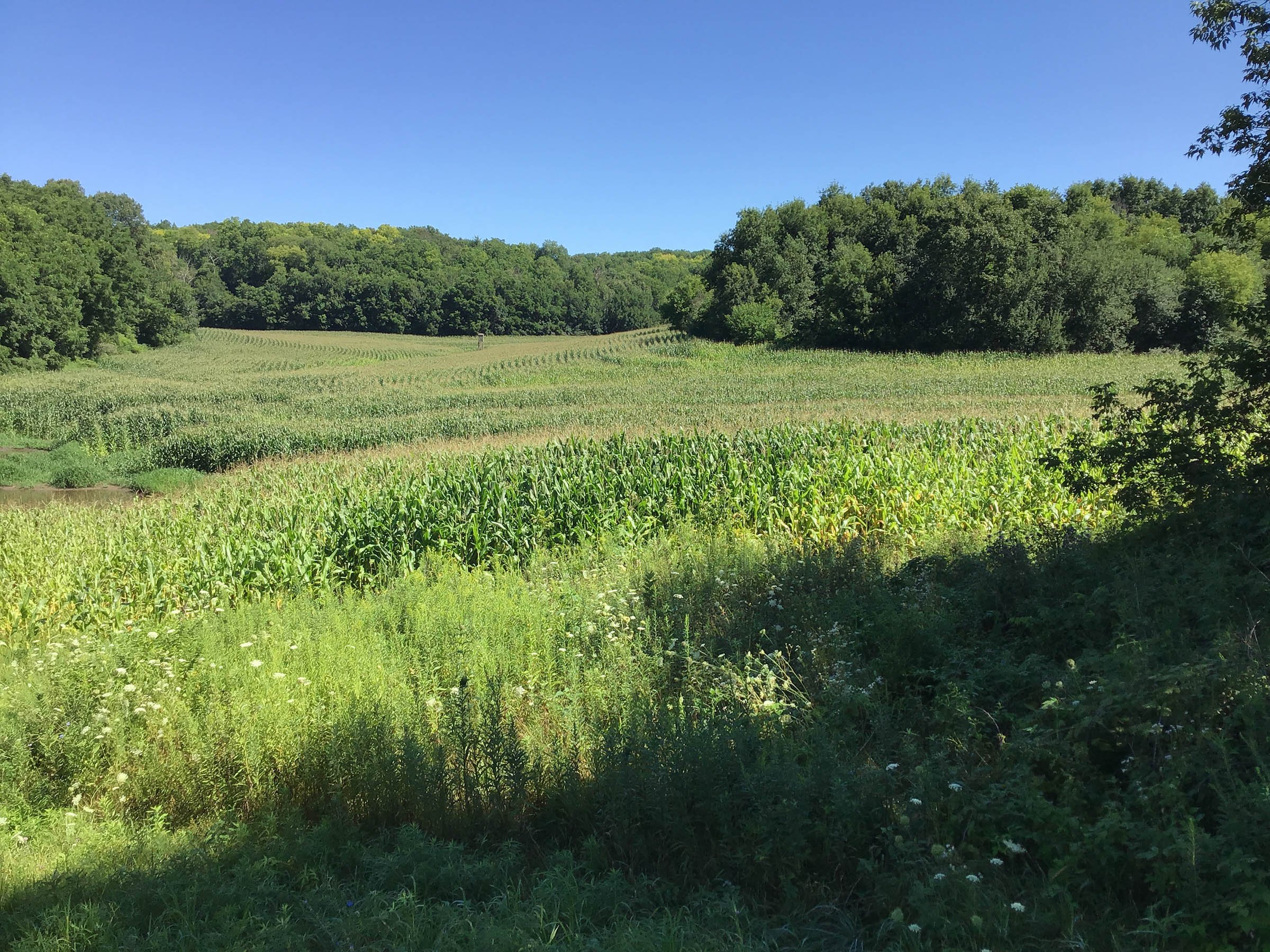 <b>OFFER PENDING</b>

<b>Dont miss your chance on this excellent all-around property for recreational, building, and farming purposes. Features a Secluded location for a future home overlooking spring feed pond.</b>

<li>Type of Farm: Crops, hunting, building site
<li>County: Grant County, WI
<li>Twp: North Lancaster, section 5
<li>Total Acreage: 99+/- Acres
<li>Tillable Acreage: 49+/- Acres
<li>Wooded Acreage: 40+/- Acres
<li>Type of Farm: Crops, hunting, building site
<li>Taxes Payable 2019/20: $900
<li>Possession Date: 12/01/2020
<li>Zoning: Agriculture
<li>High School: Lancaster, WI
<li>Elec. Source: Available
<li>Fencing: Partial

<iframe src="https://player.vimeo.com/video/451492214" width="640" height="360" frameborder="0" allow="autoplay; fullscreen" allowfullscreen></iframe> - LAND FOR SALE - GRANT COUNTY, WI - 99 ACRES - EXCELLENT ALL-AROUND PROPERTY FOR HUNTING AND FARMING - OFFER PENDING