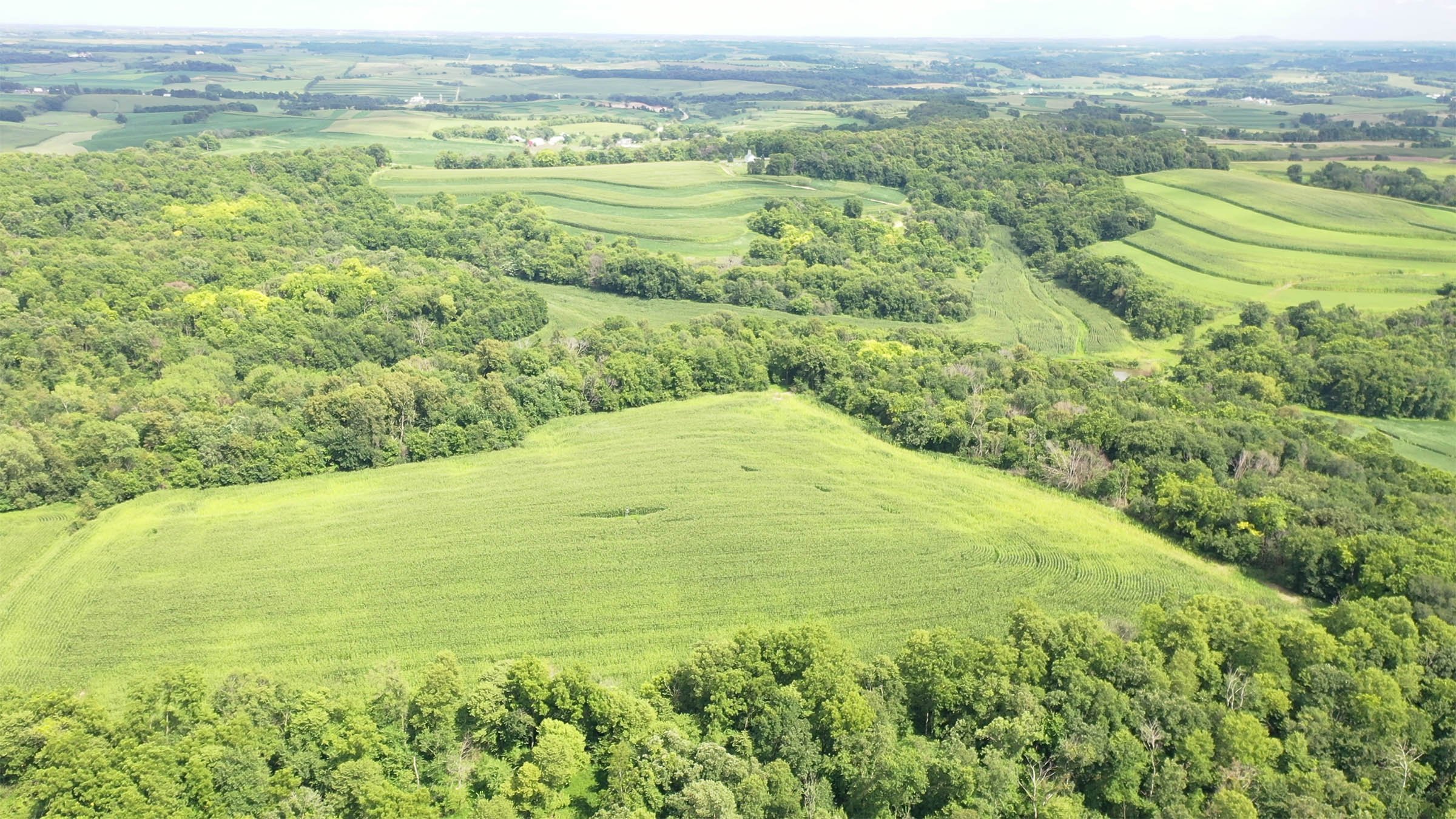 Property photo 12 - LAND FOR SALE - GRANT COUNTY, WI - 99 ACRES - EXCELLENT ALL-AROUND PROPERTY FOR HUNTING AND FARMING - OFFER PENDING