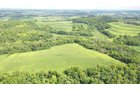 Property photo 12 - LAND FOR SALE - GRANT COUNTY, WI - 99 ACRES - EXCELLENT ALL-AROUND PROPERTY FOR HUNTING AND FARMING - OFFER PENDING