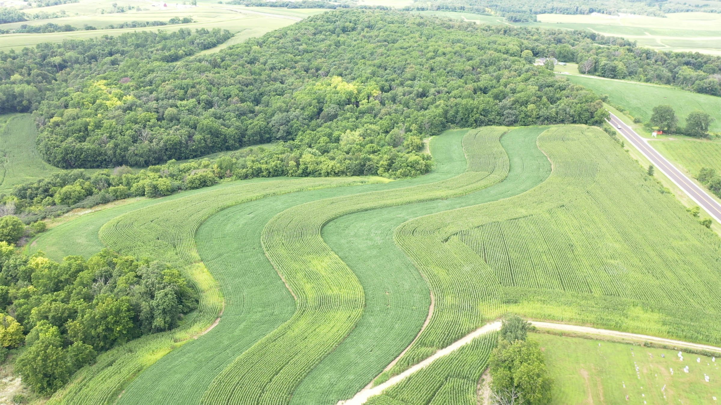 Property photo 11 - LAND FOR SALE - GRANT COUNTY, WI - 99 ACRES - EXCELLENT ALL-AROUND PROPERTY FOR HUNTING AND FARMING - OFFER PENDING
