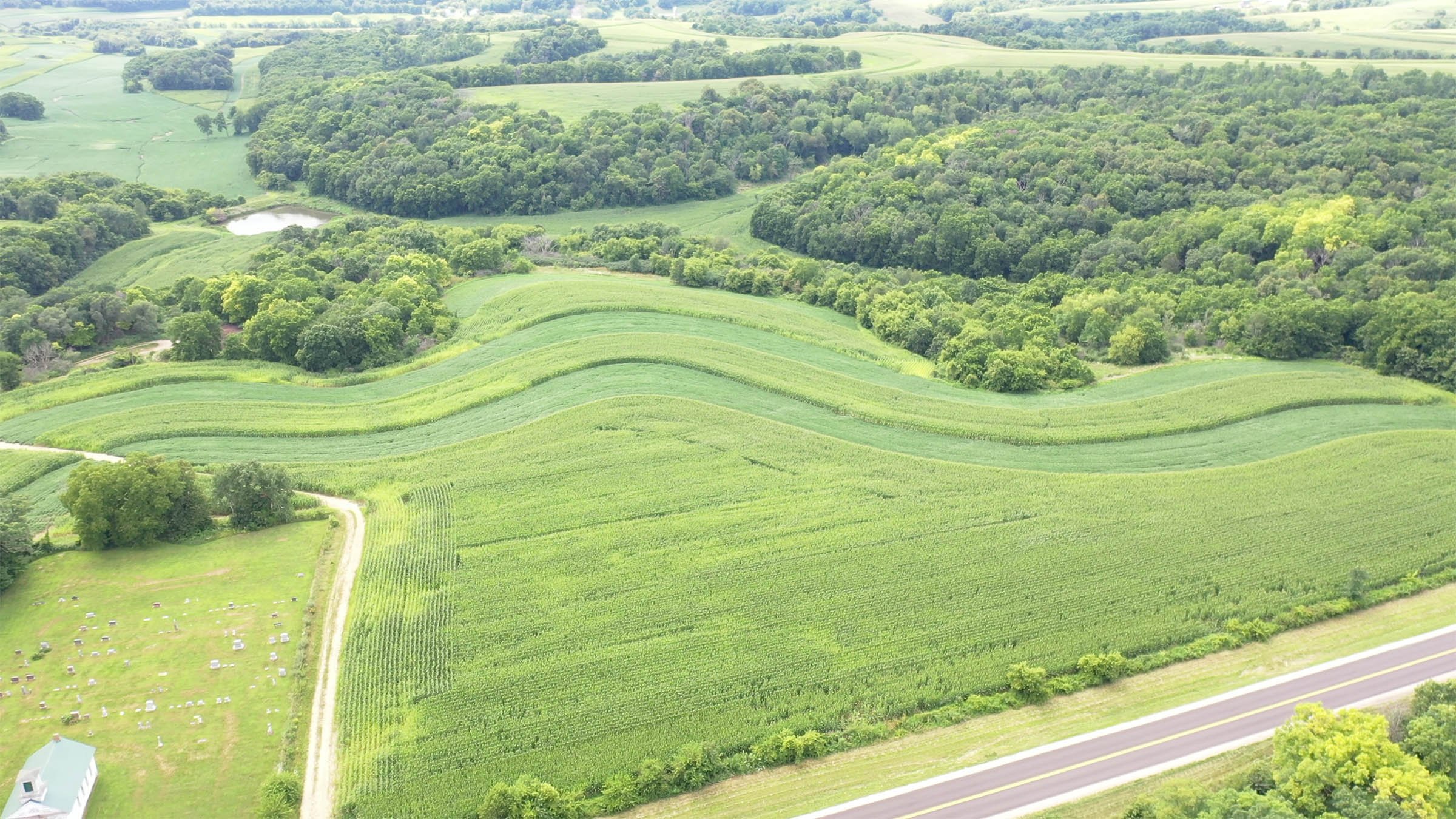 Property photo 10 - LAND FOR SALE - GRANT COUNTY, WI - 99 ACRES - EXCELLENT ALL-AROUND PROPERTY FOR HUNTING AND FARMING - OFFER PENDING