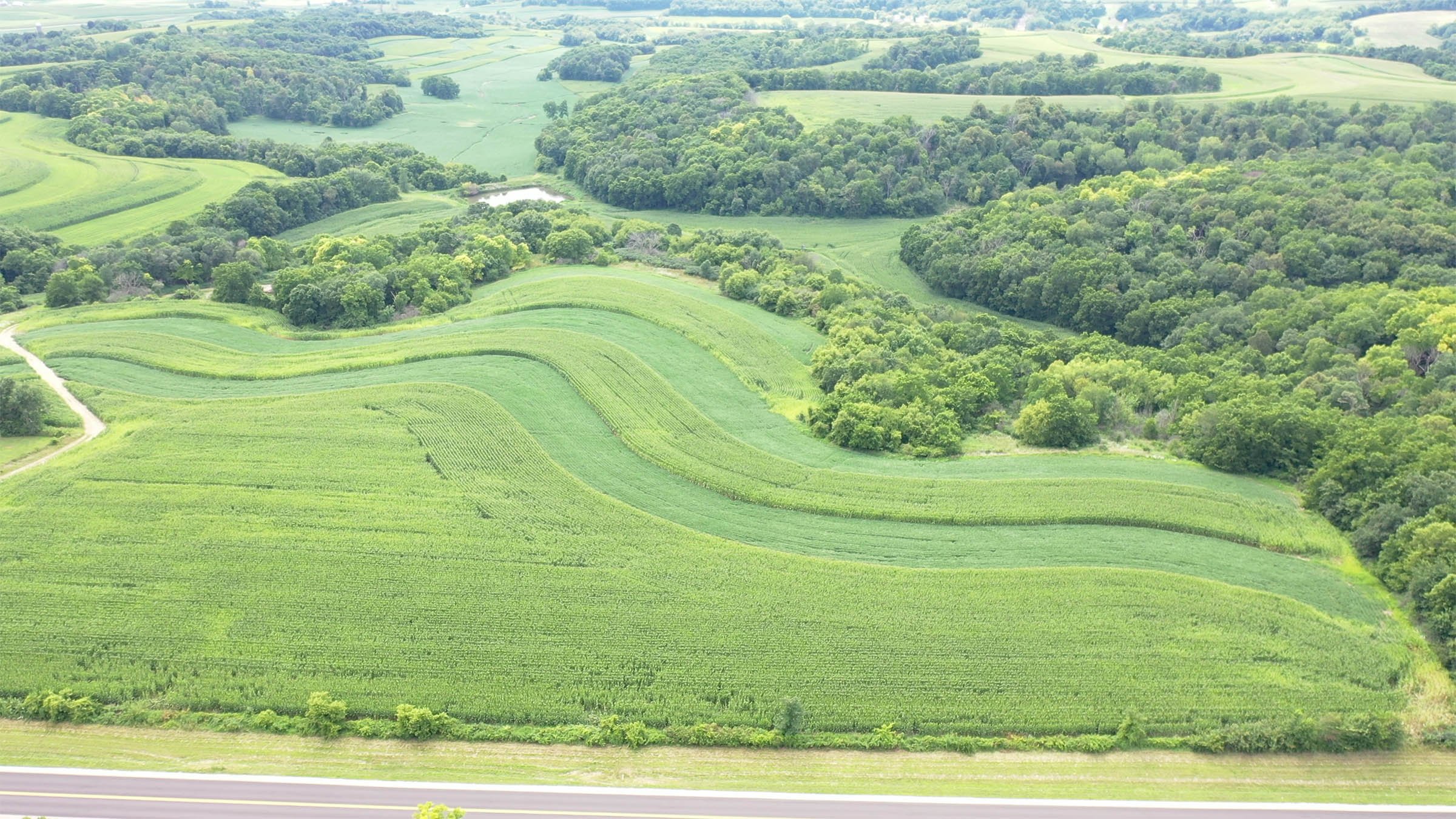 Property photo 9 - LAND FOR SALE - GRANT COUNTY, WI - 99 ACRES - EXCELLENT ALL-AROUND PROPERTY FOR HUNTING AND FARMING - OFFER PENDING
