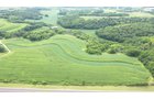 Property photo 9 - LAND FOR SALE - GRANT COUNTY, WI - 99 ACRES - EXCELLENT ALL-AROUND PROPERTY FOR HUNTING AND FARMING - OFFER PENDING