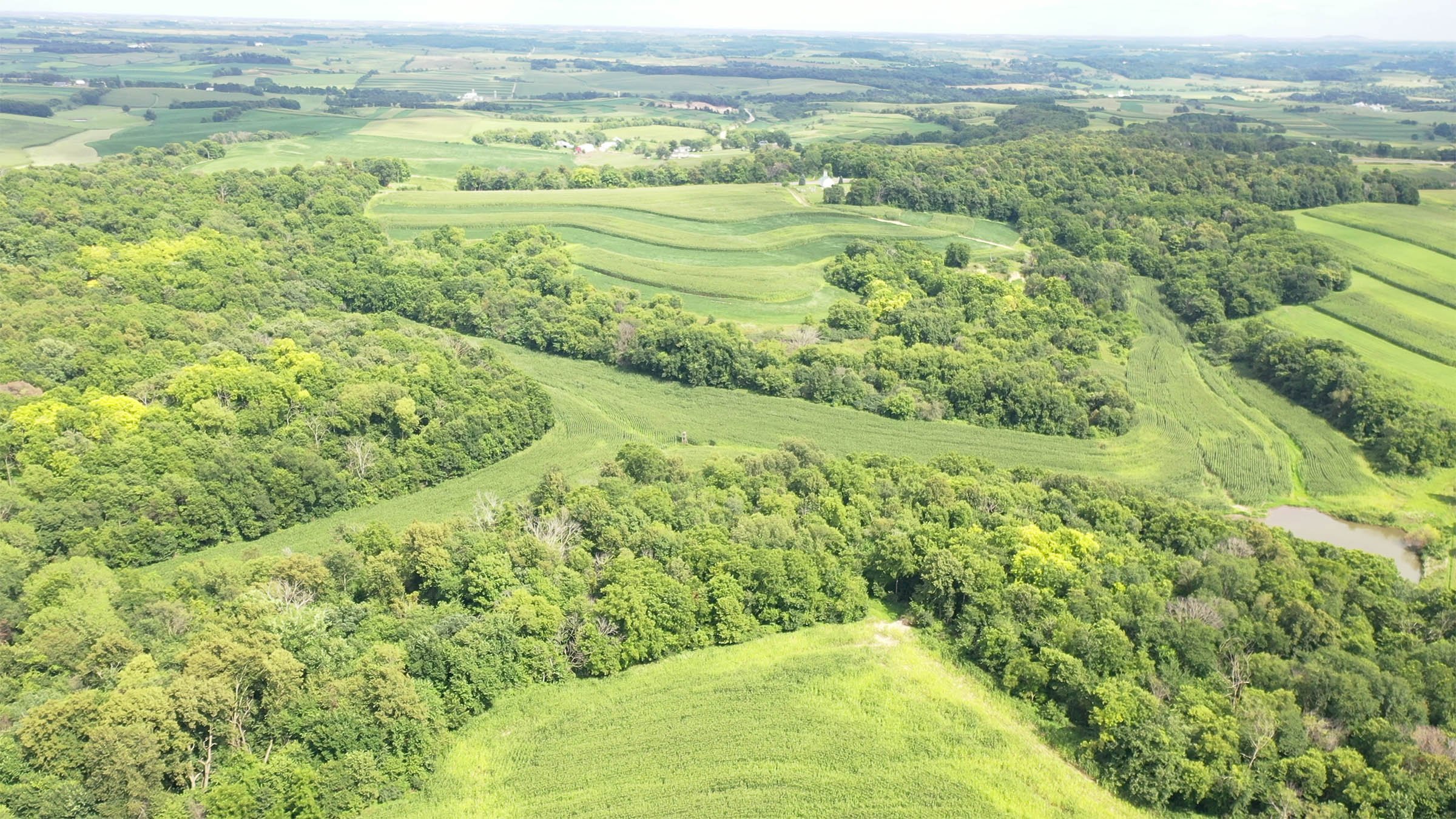 Property photo 8 - LAND FOR SALE - GRANT COUNTY, WI - 99 ACRES - EXCELLENT ALL-AROUND PROPERTY FOR HUNTING AND FARMING - OFFER PENDING