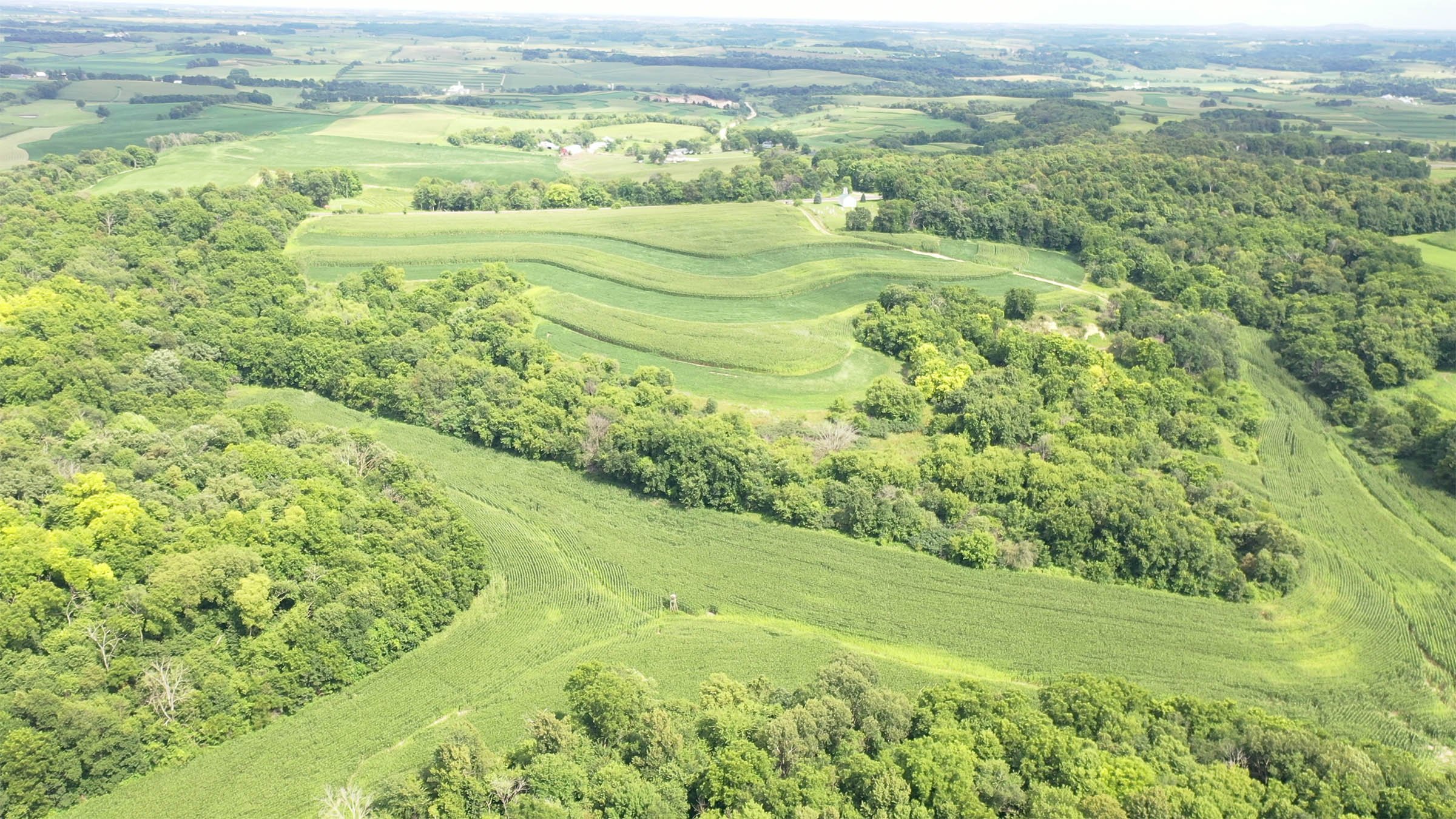 Property photo 7 - LAND FOR SALE - GRANT COUNTY, WI - 99 ACRES - EXCELLENT ALL-AROUND PROPERTY FOR HUNTING AND FARMING - OFFER PENDING