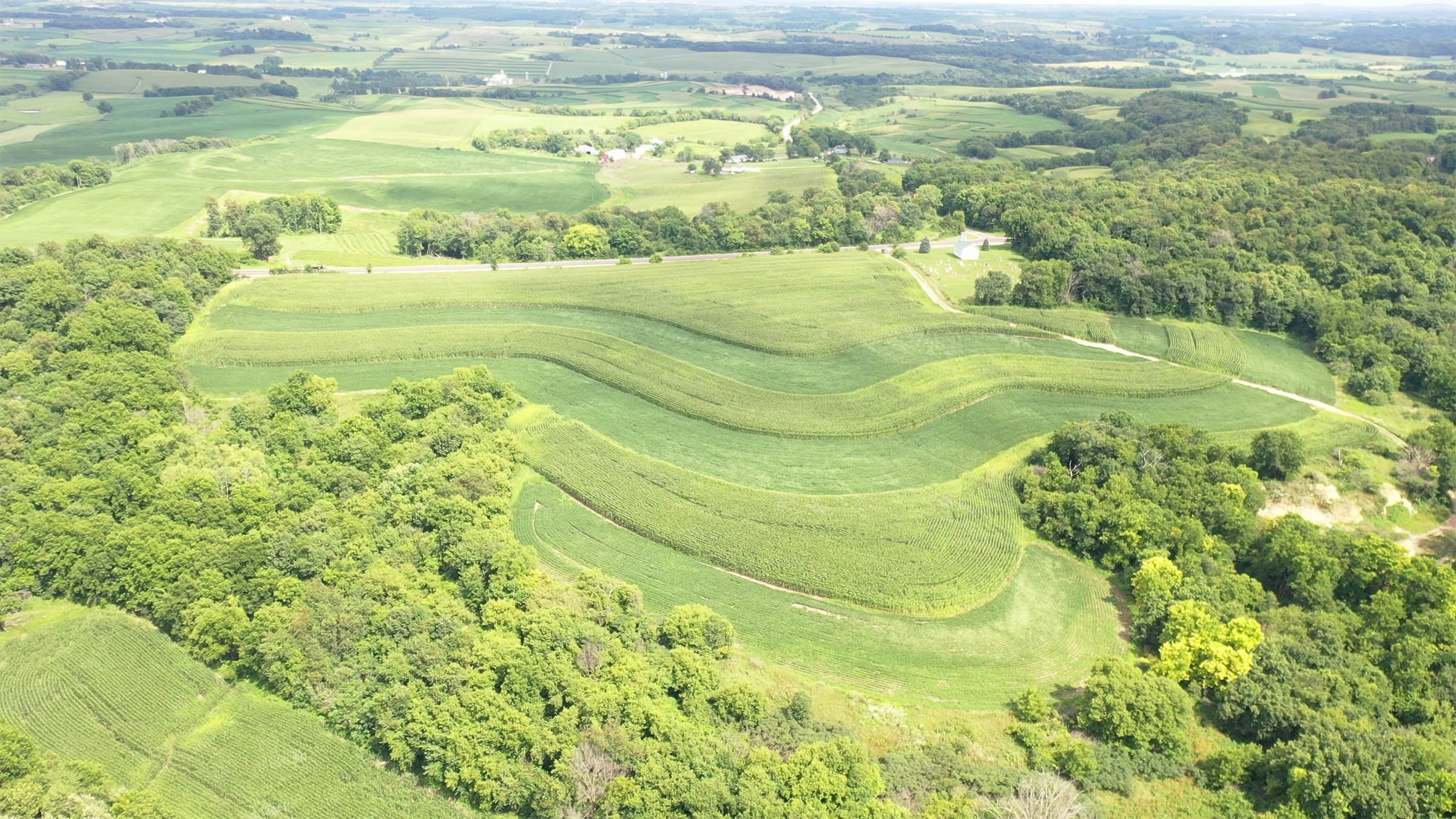 Property photo 6 - LAND FOR SALE - GRANT COUNTY, WI - 99 ACRES - EXCELLENT ALL-AROUND PROPERTY FOR HUNTING AND FARMING - OFFER PENDING