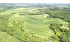 Property photo 6 - LAND FOR SALE - GRANT COUNTY, WI - 99 ACRES - EXCELLENT ALL-AROUND PROPERTY FOR HUNTING AND FARMING - OFFER PENDING